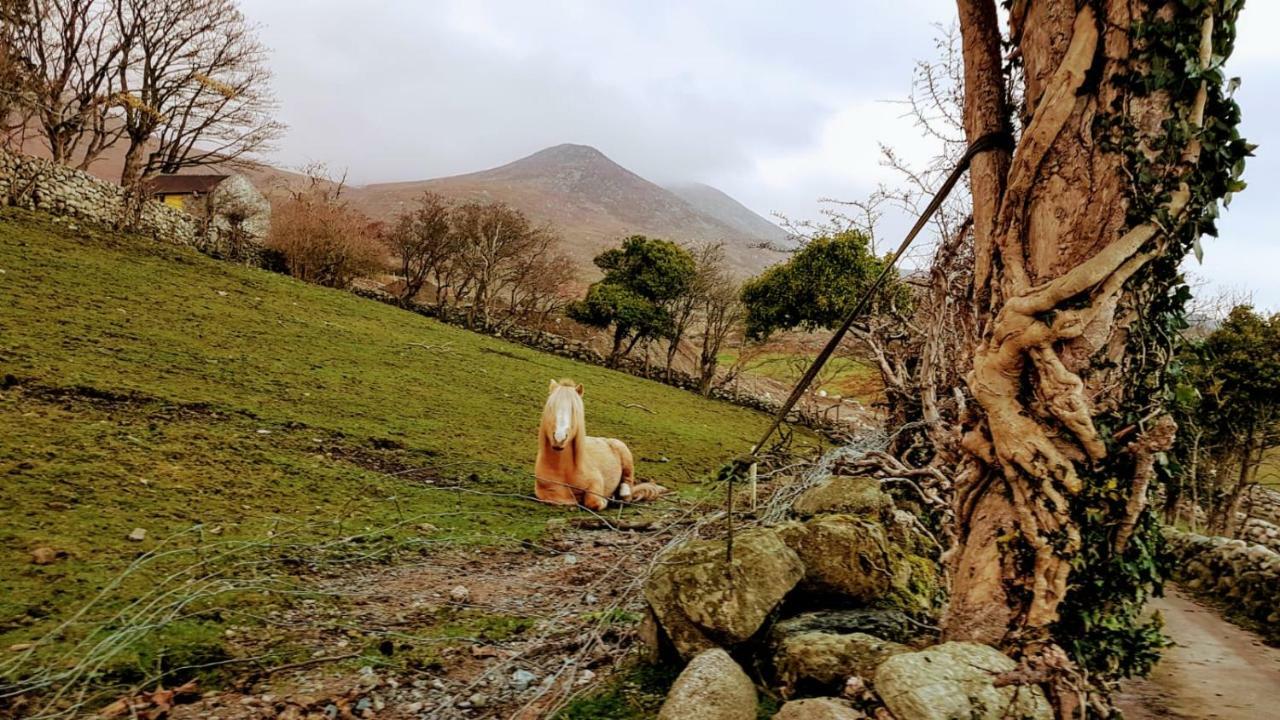 Stunning Views At Ballagh Cottage Newcastle 纽卡斯尔 外观 照片