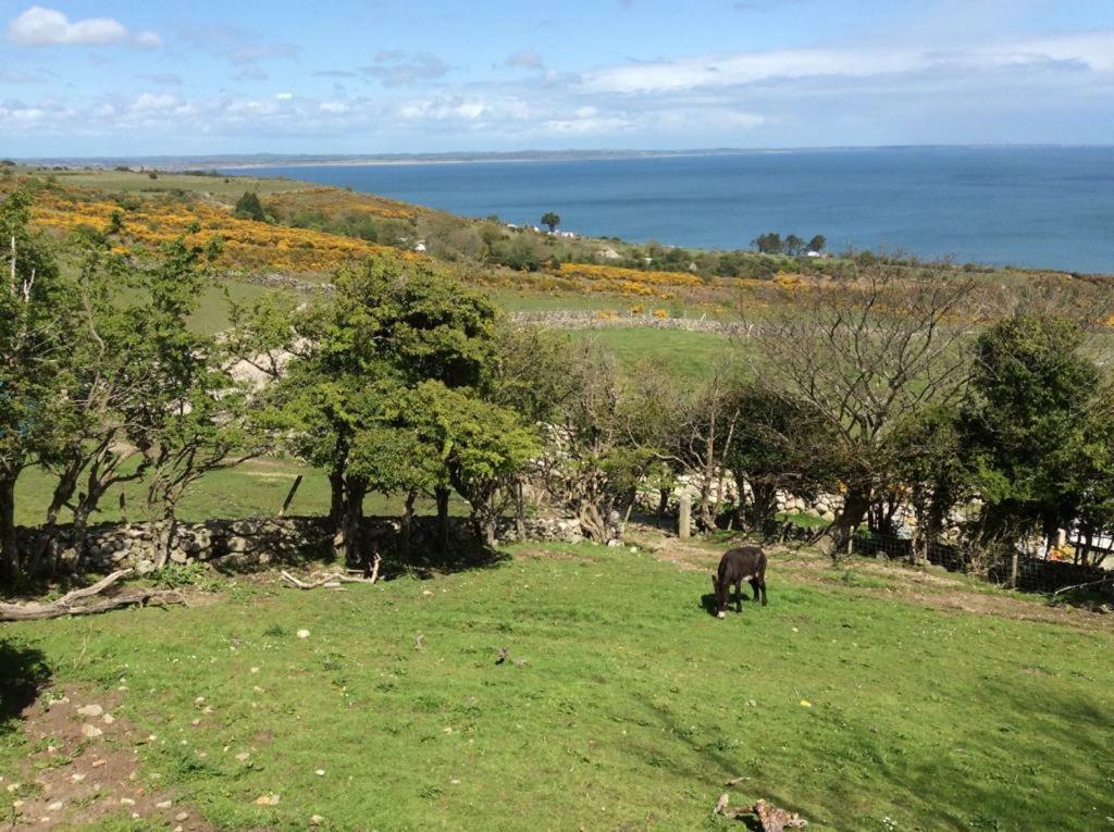 Stunning Views At Ballagh Cottage Newcastle 纽卡斯尔 外观 照片